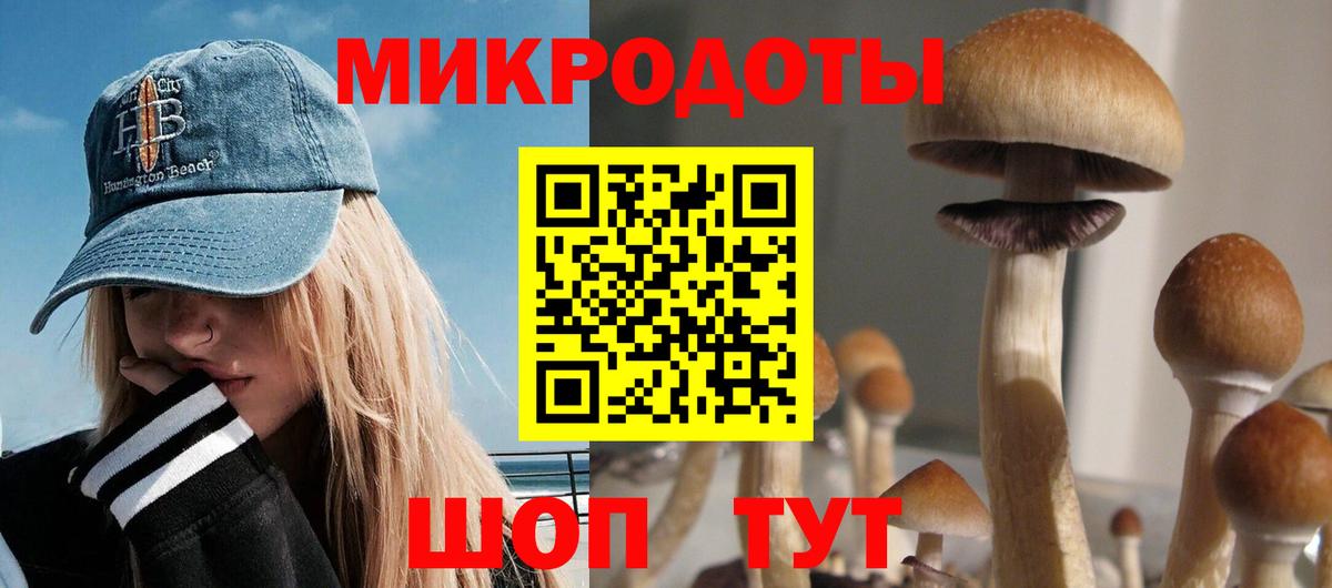 Галлюциногенные грибы Psilocybine cubensis Саратов